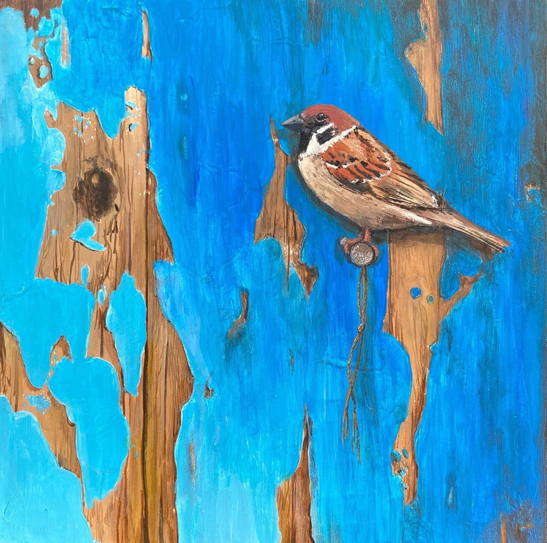 Vogelserie tegen blauwe wand - mus