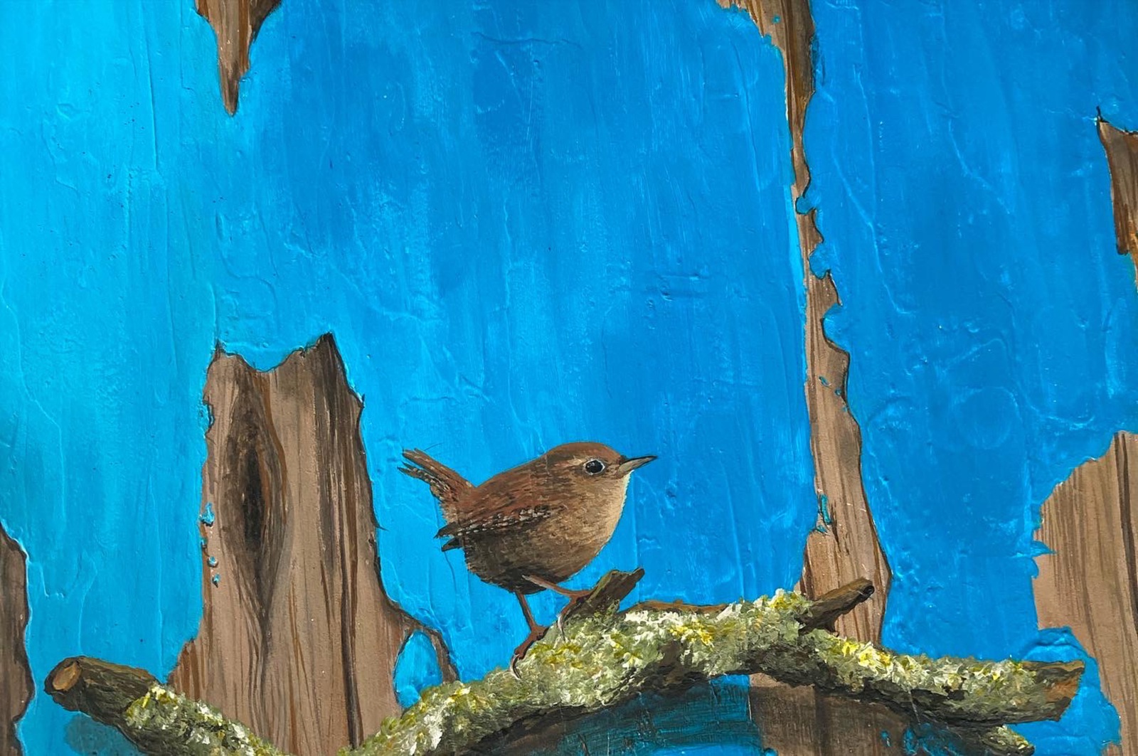 Vogelserie tegen een blauwe wand - winterkoning