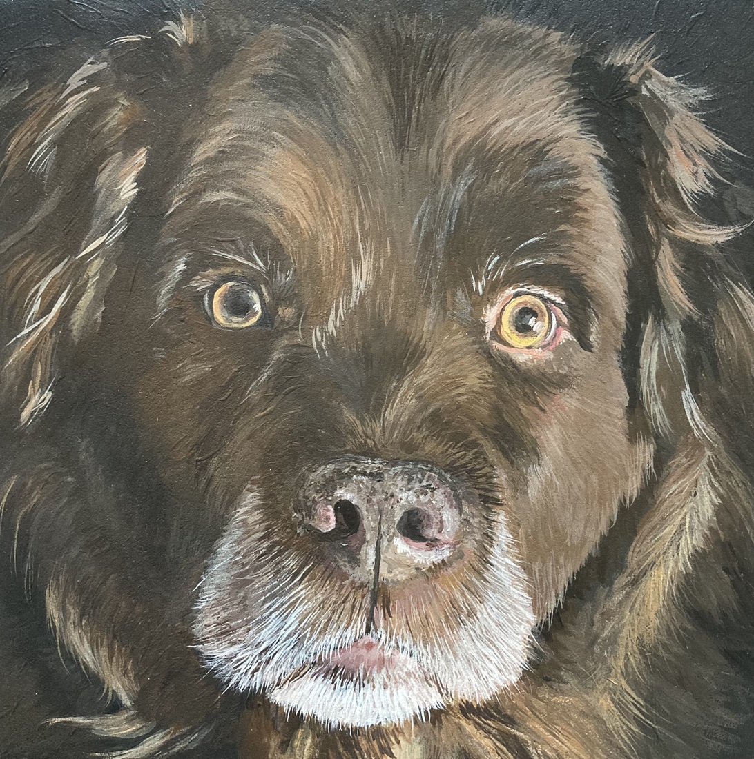 Opdracht: portret van “Beer”