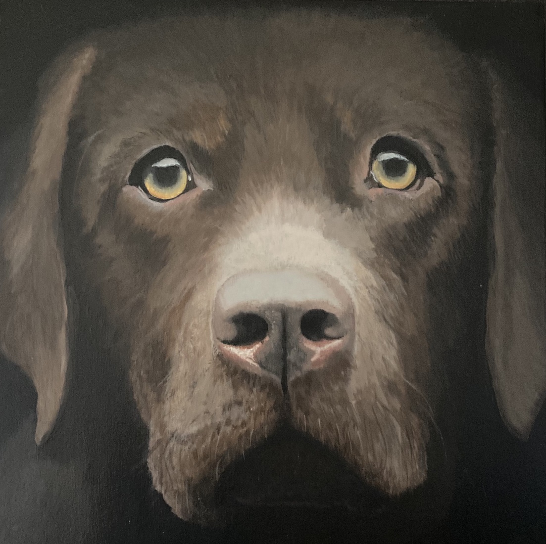 Opdracht: portret van “Teddy”.