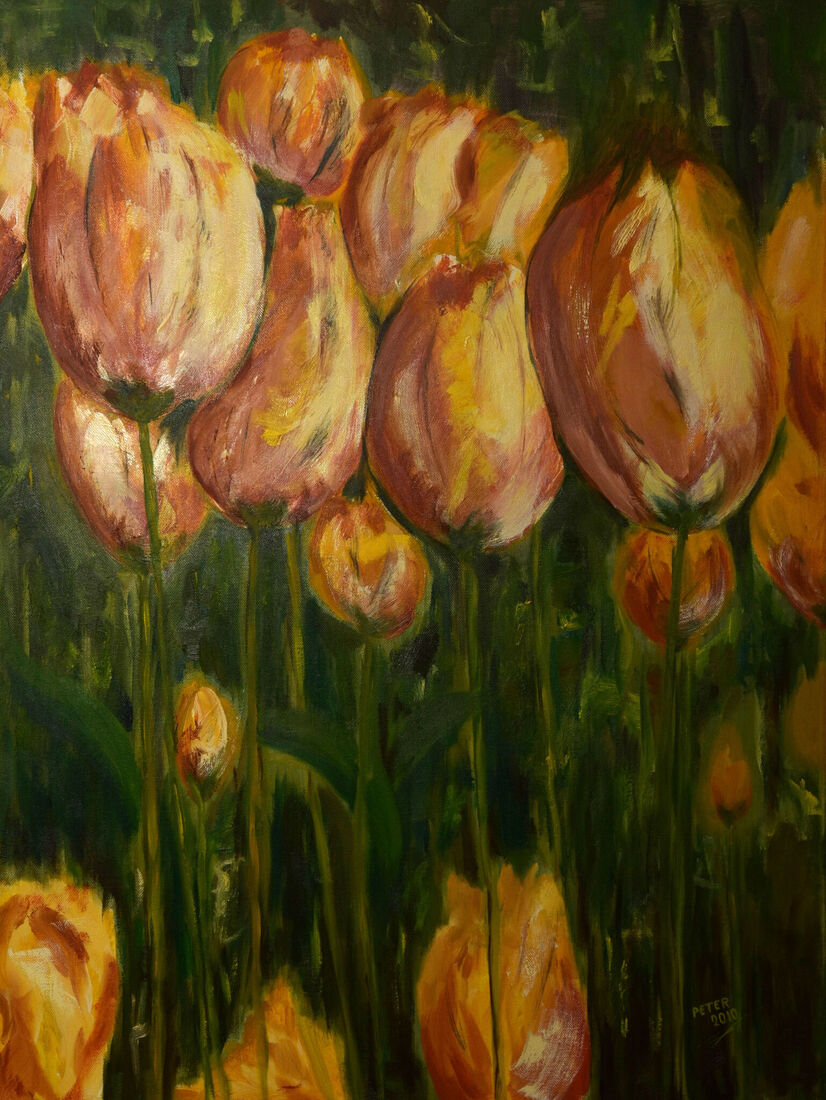Bloeiende Tulpen