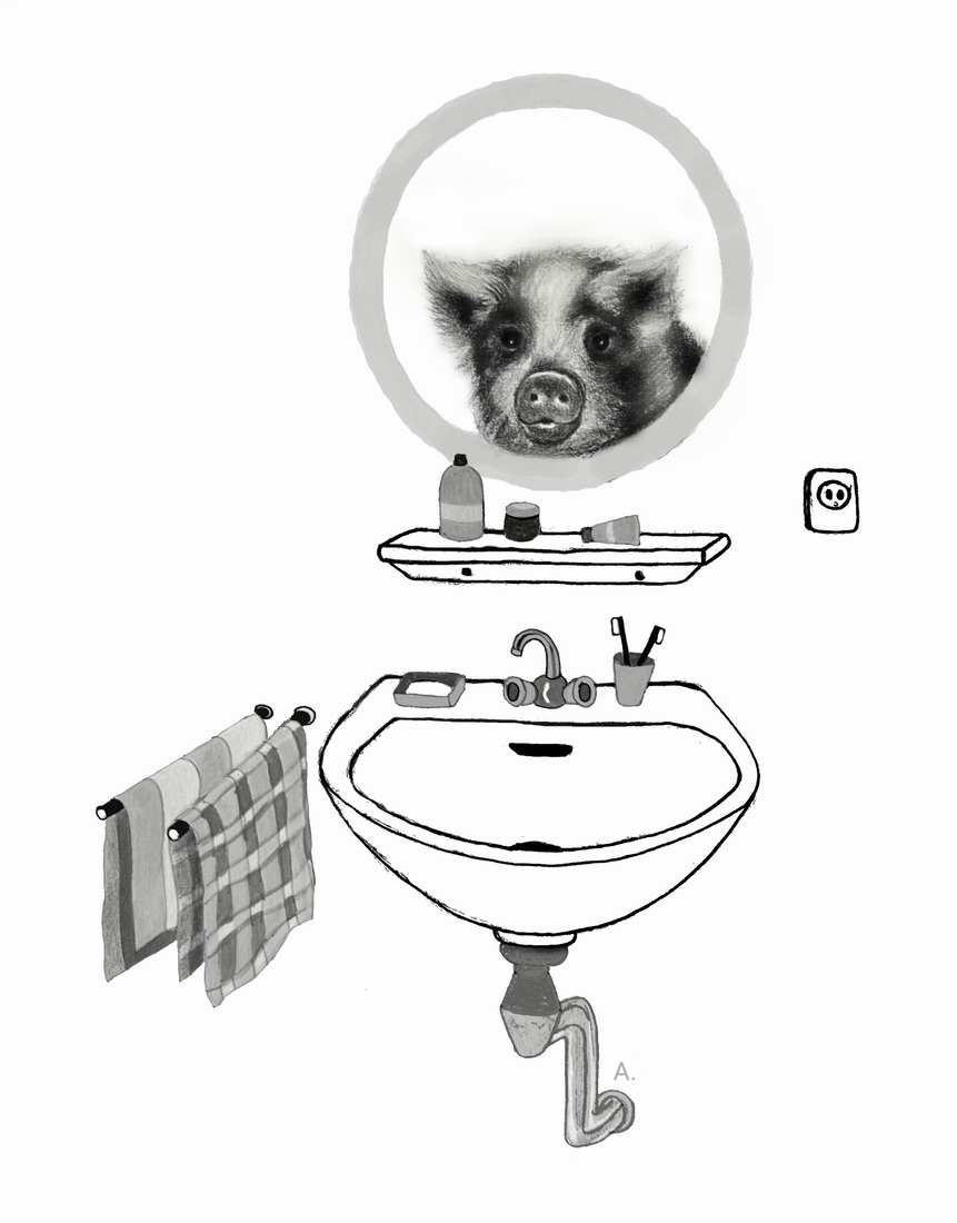 Spiegelbeeld