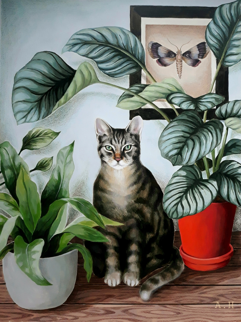 Kat
