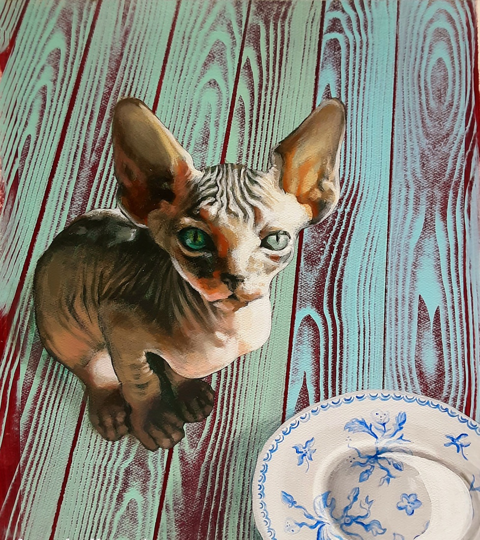 Naaktkat