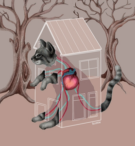 Dierbare illustraties
