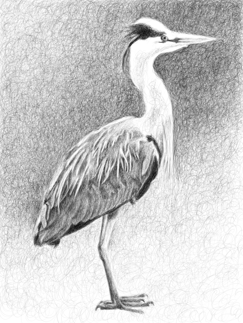 Reiger
