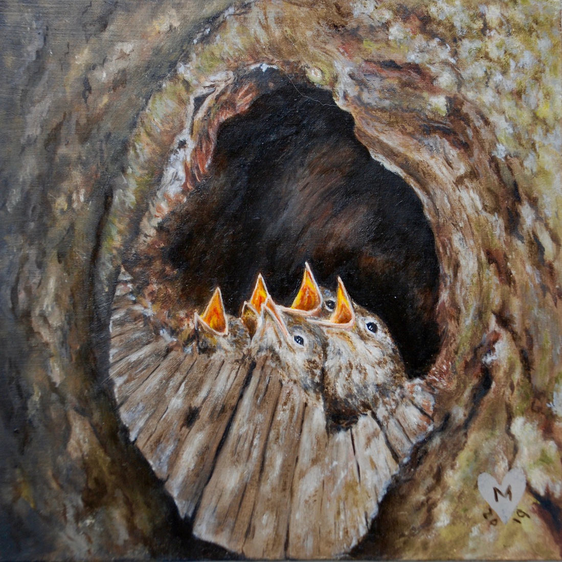 Nest grauwe vliegenvanger