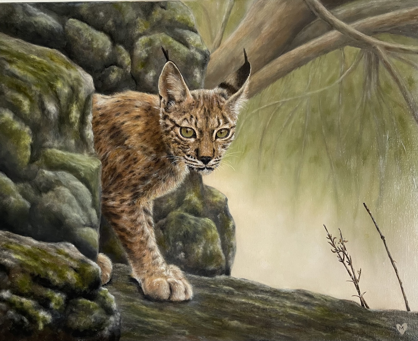 Lynx