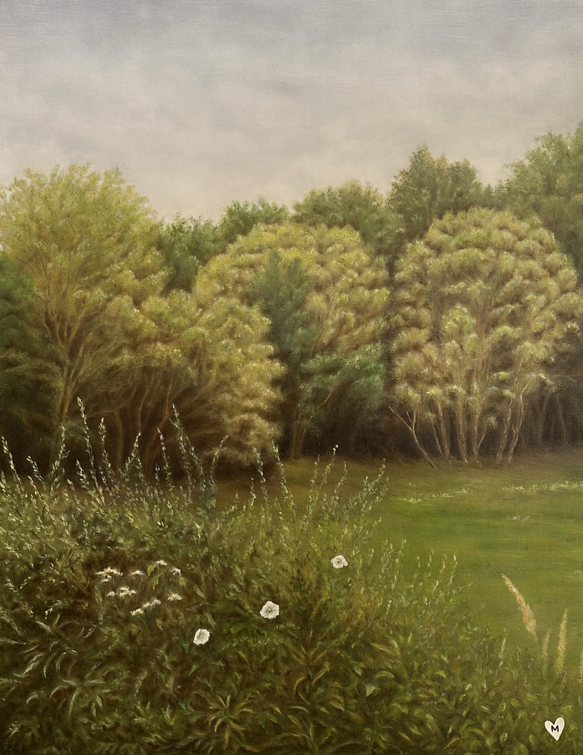 Landschap met bosrand en meidoornhaag