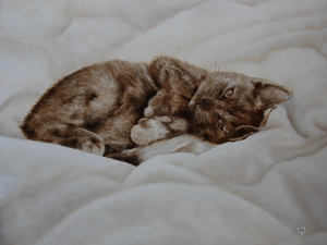 Huisdieren in olieverf