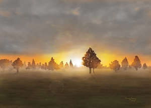 Digitaal getekende landschappen.