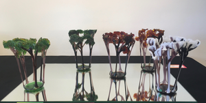 Bomen in 4 seizoenen