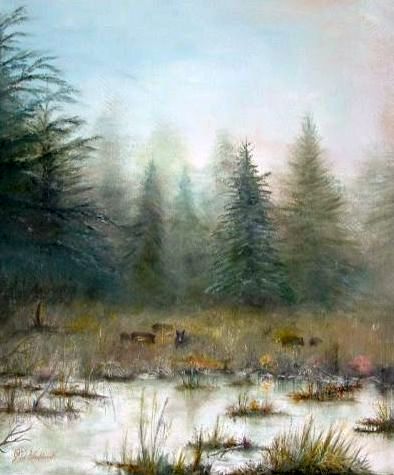 wilde zwijnen op de Veluwe