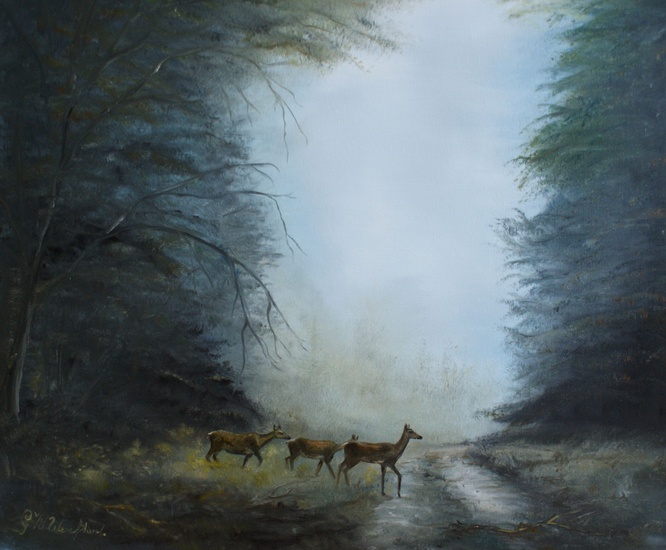 's morgens vroeg op de Veluwe