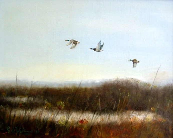 eenmden in de vlucht