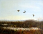 eenden in de vlucht