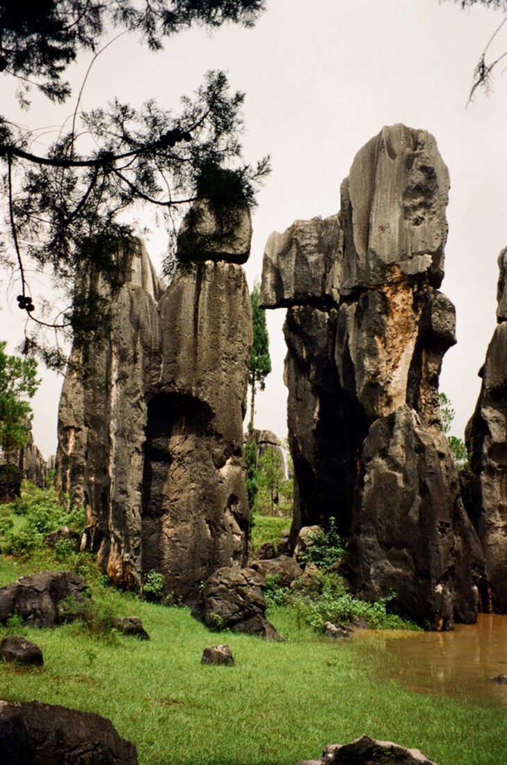 Kunming: Het stenen woud