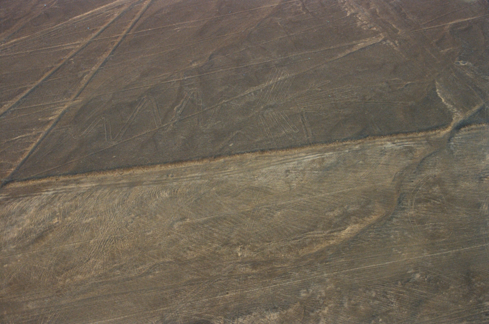 Nazca: Nazcalijnen