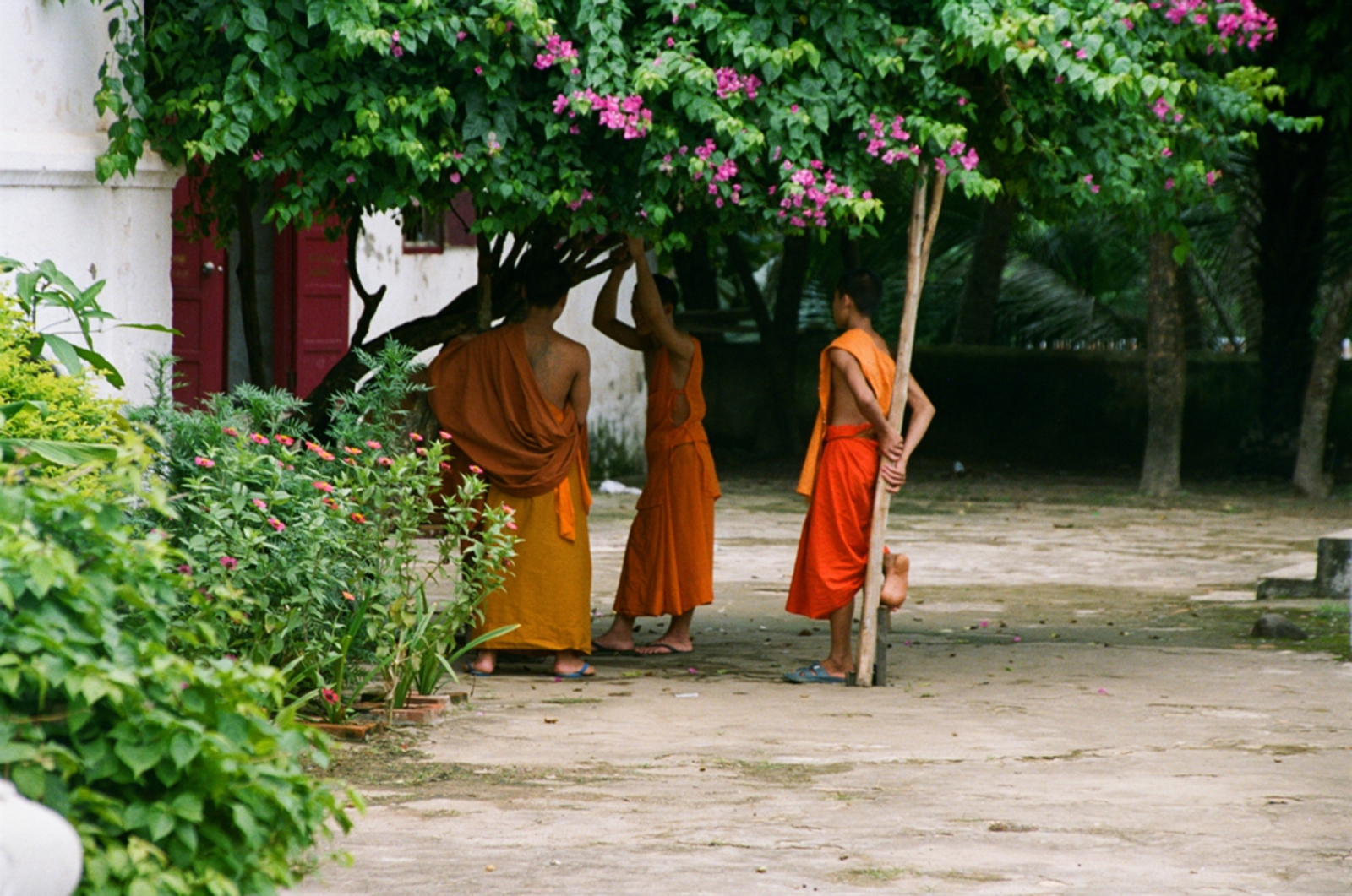 Luang Prabang: Wat Choum Khong