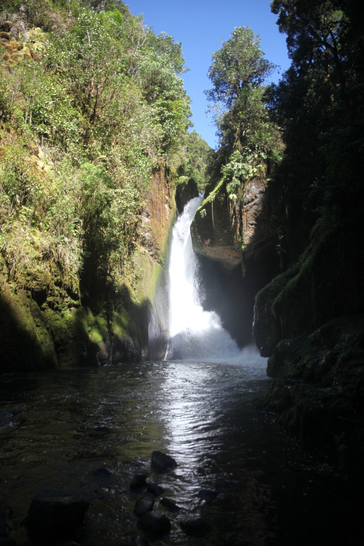 San Gerardo de Dota: Savegre rivier waterval
