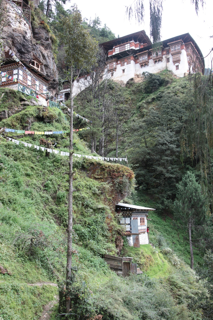 Thimphu: Tango Monastery