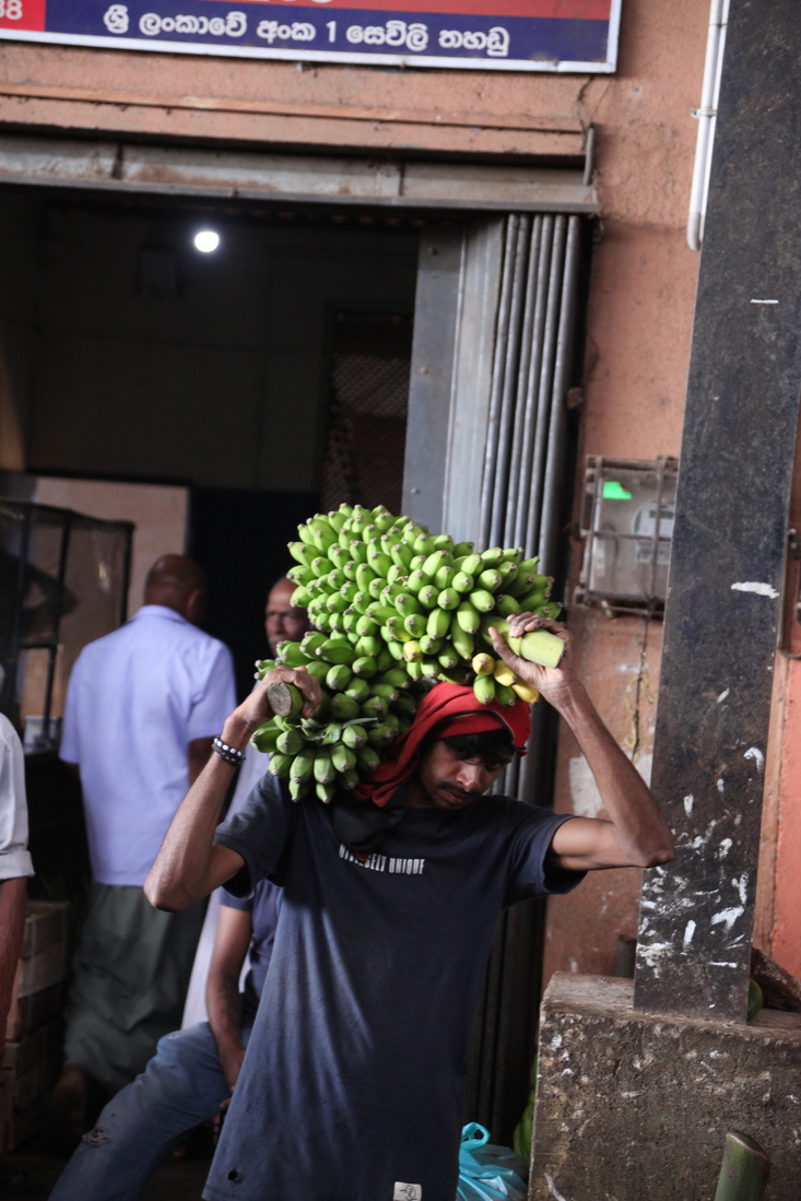 Dambulla: Groothandel Groenten en Fruit