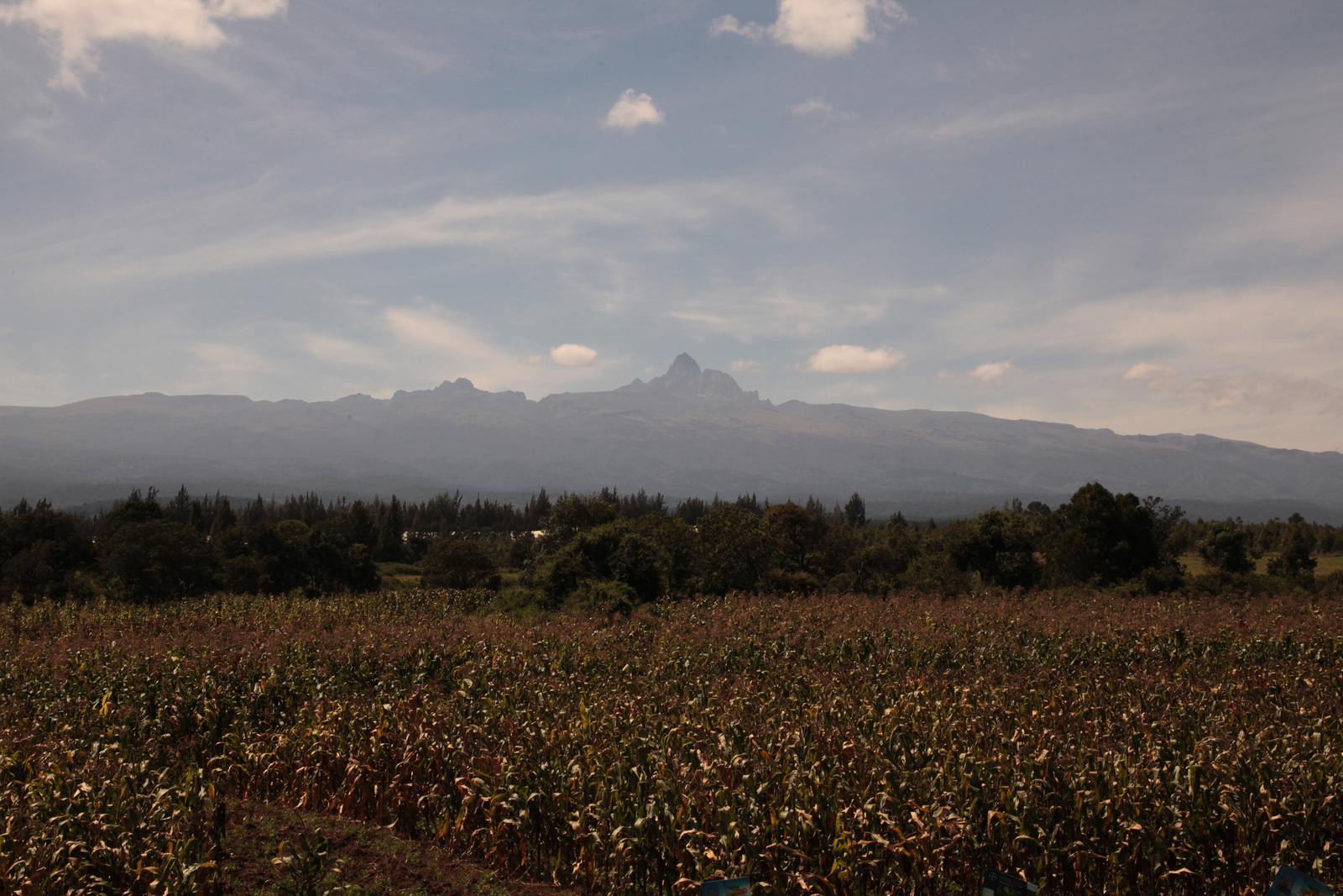 Mount Kenya (0013)