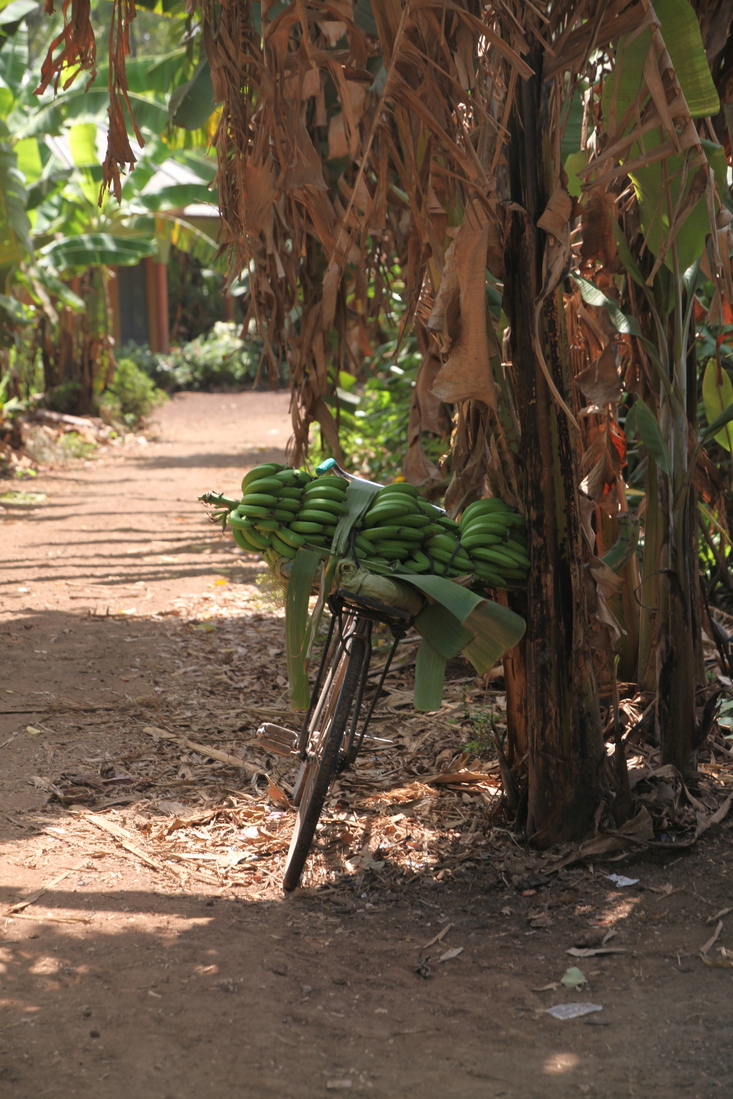 Bicycletour (1996)