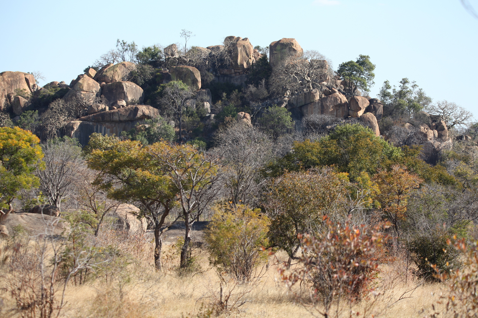 Matobo N.P.: 1379