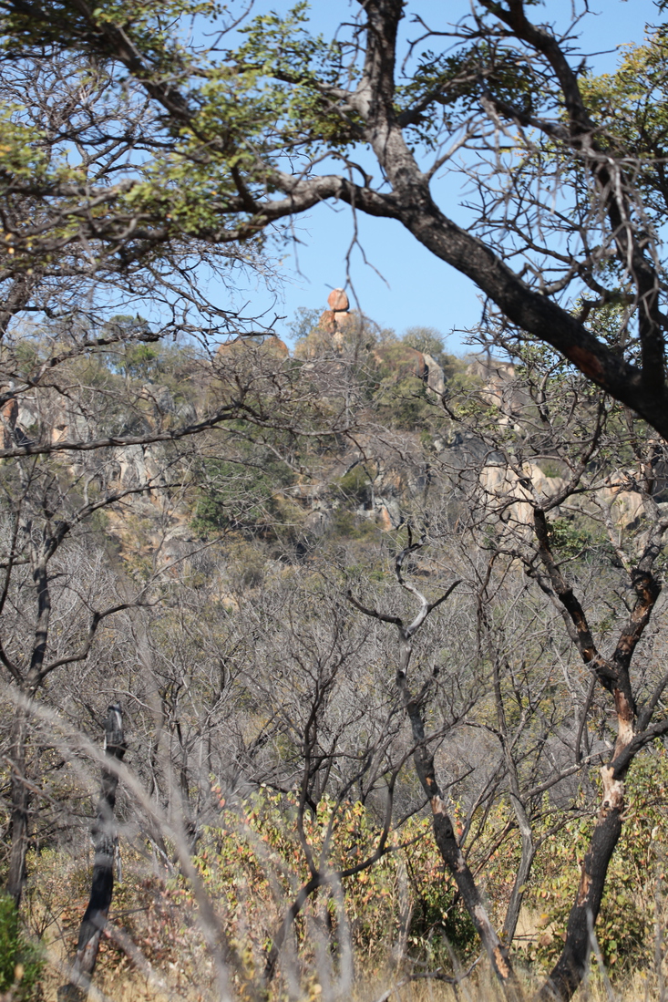 Matobo N.P.: 1380