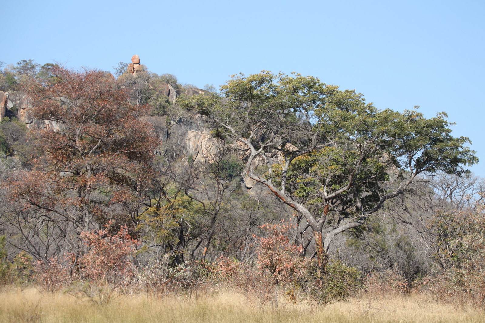Matobo N.P.: 1423