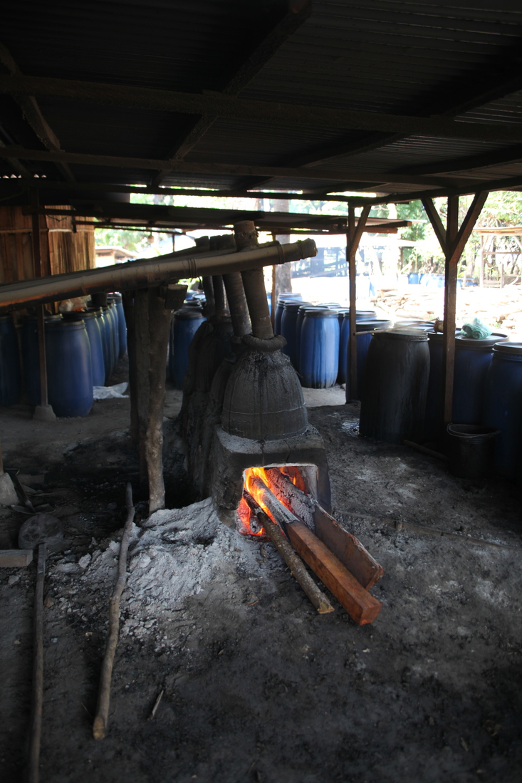 Flores: Arak distilleren .0272