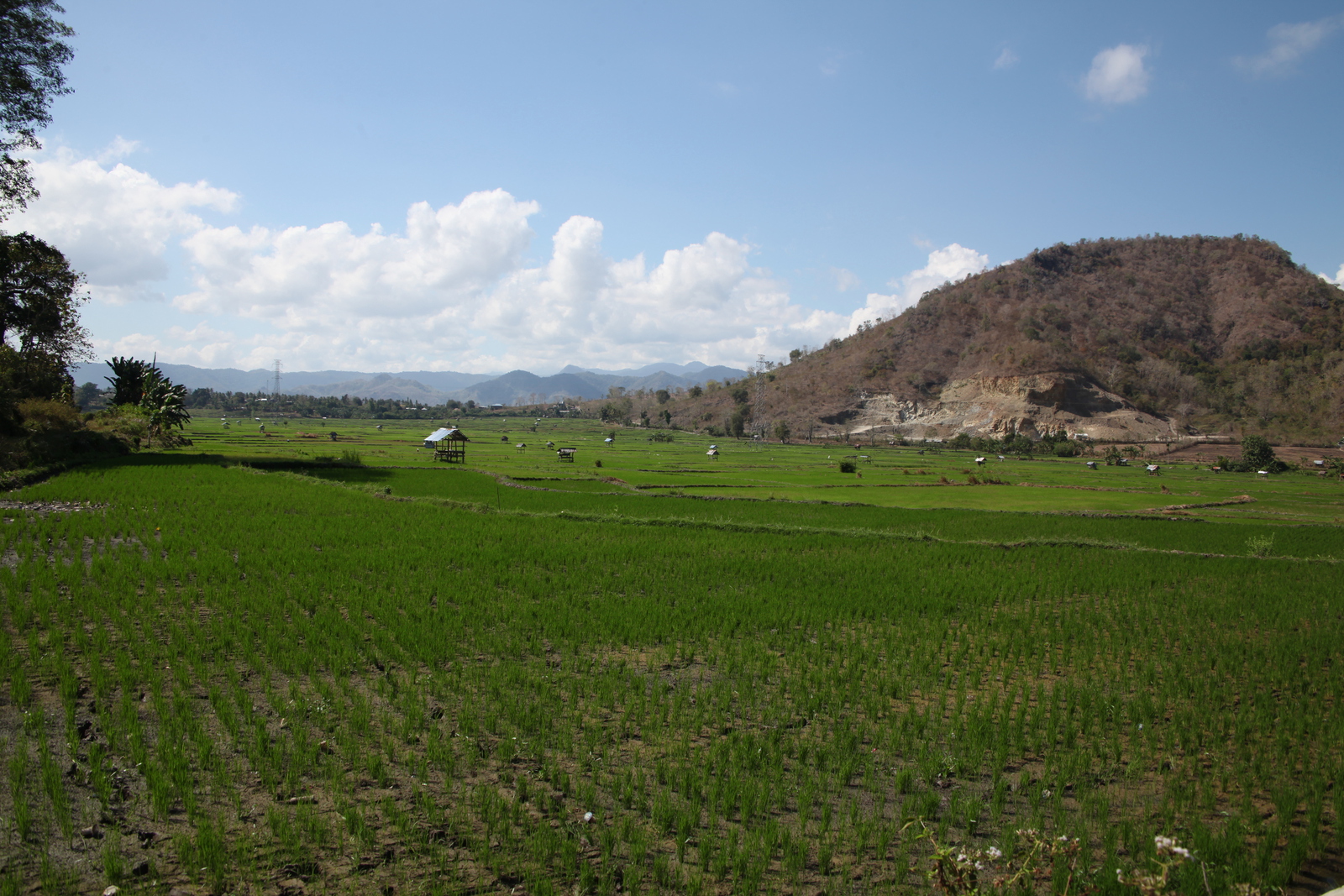 Sumbawa .0446