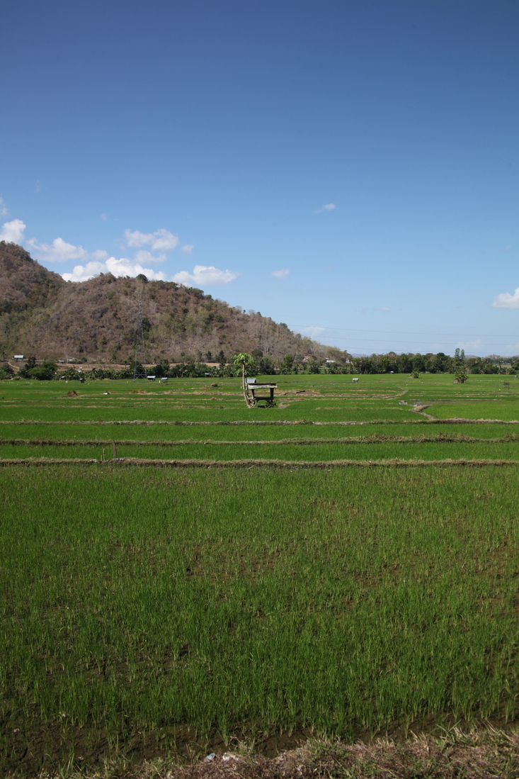 Sumbawa .0451
