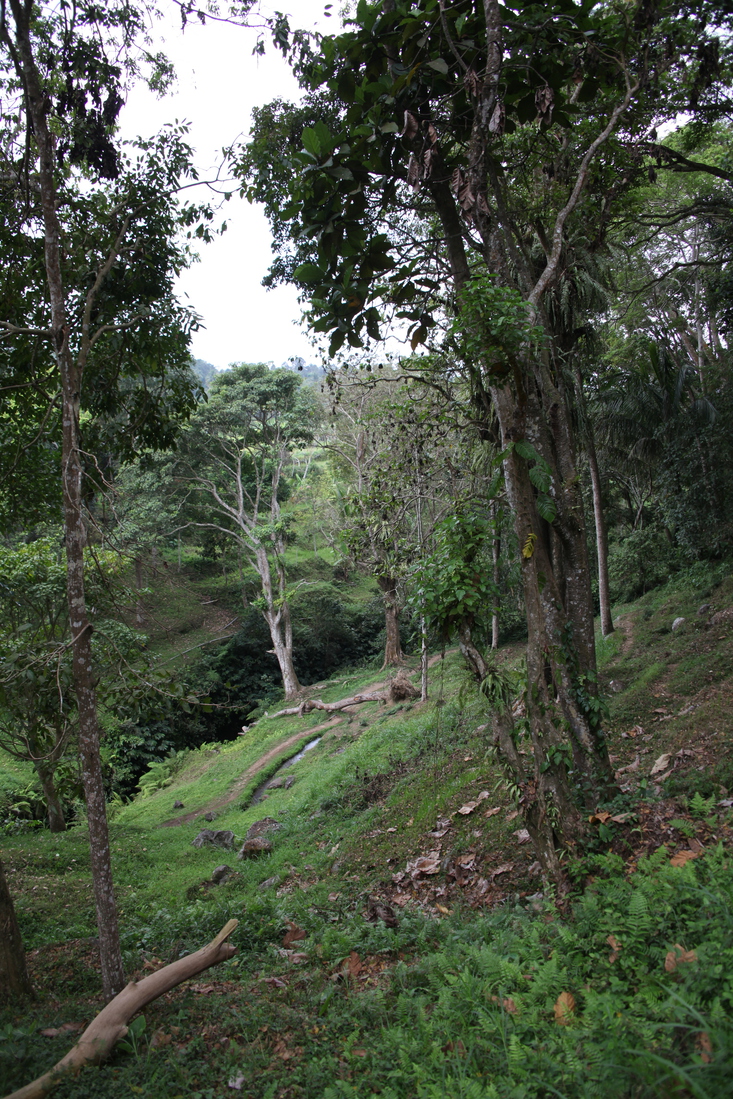 Tetebatu .0609