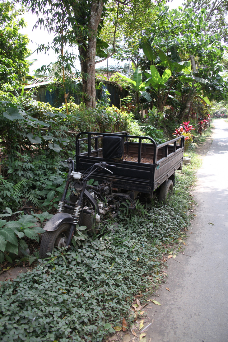 Tetebatu .0624