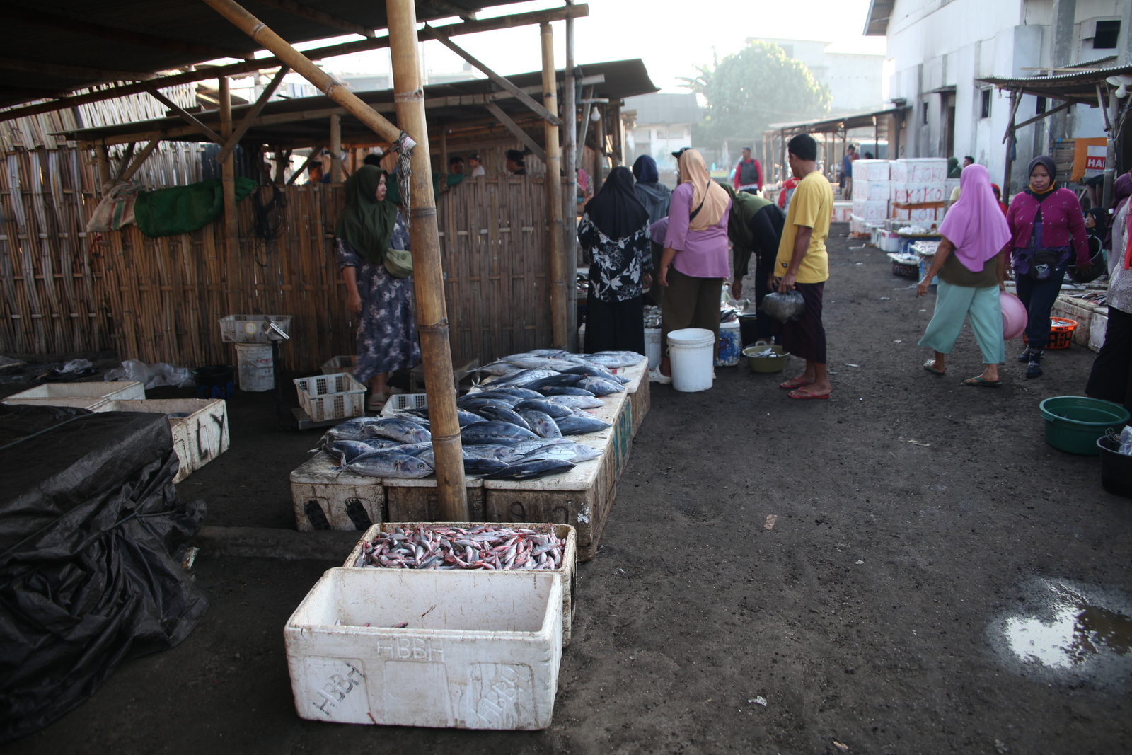 Tanjung Luar .0644