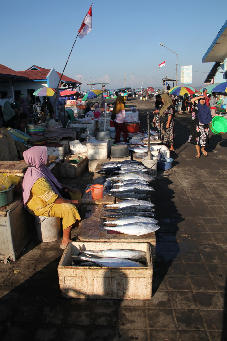 Tanjung Luar .0672