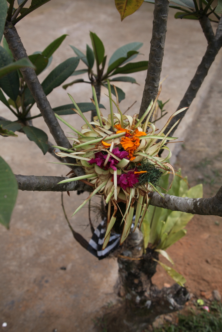 Ubud .0791