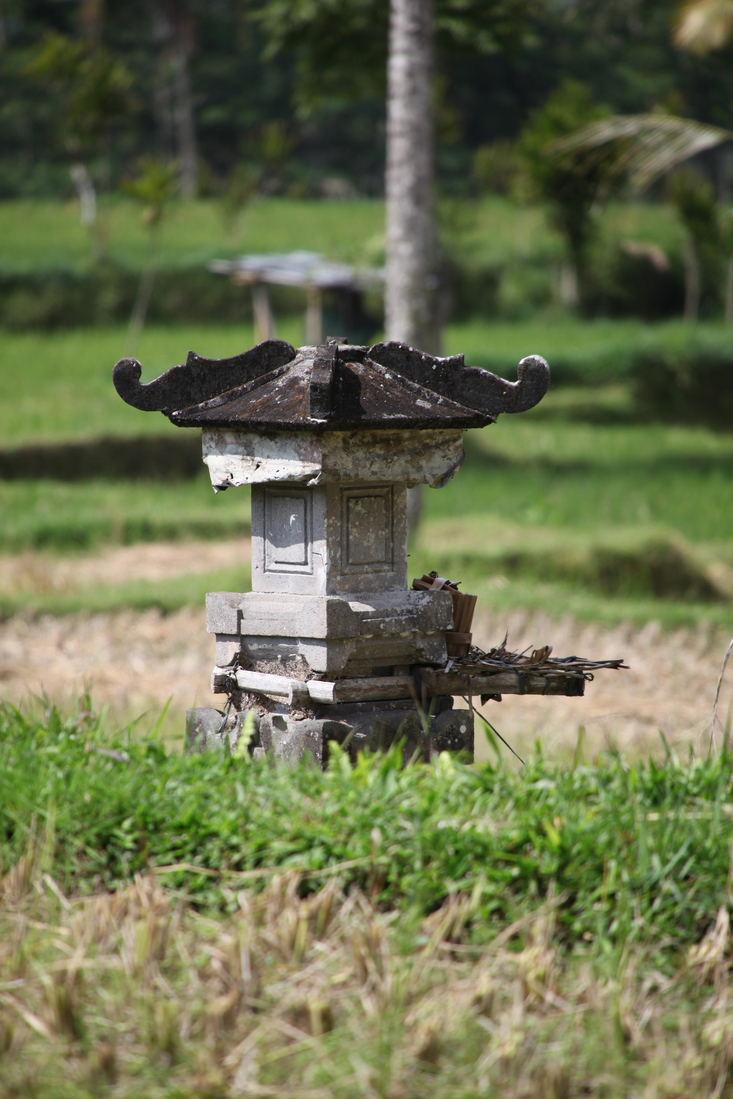 Ubud .0799