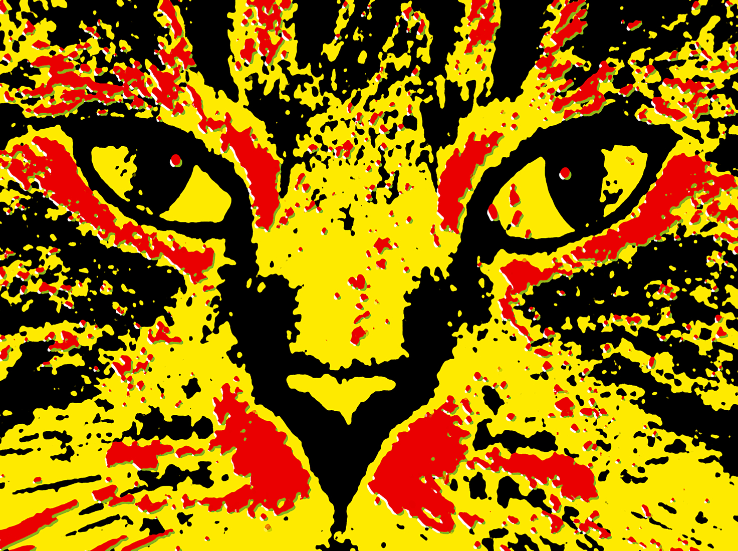 Face to face with a cat