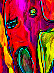 De meest dominante soort op aarde, maar gedraagt die zich verantwoordelijk?