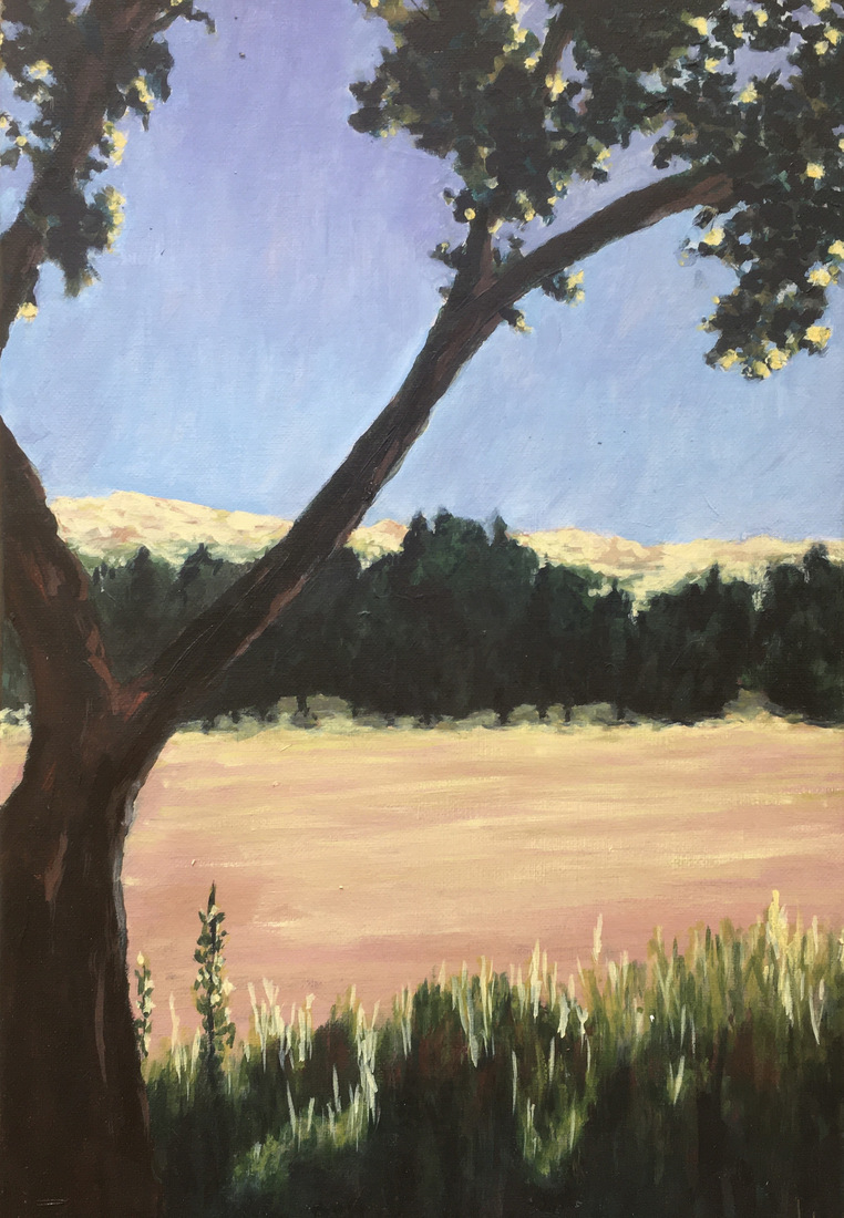 Sun touching the earth