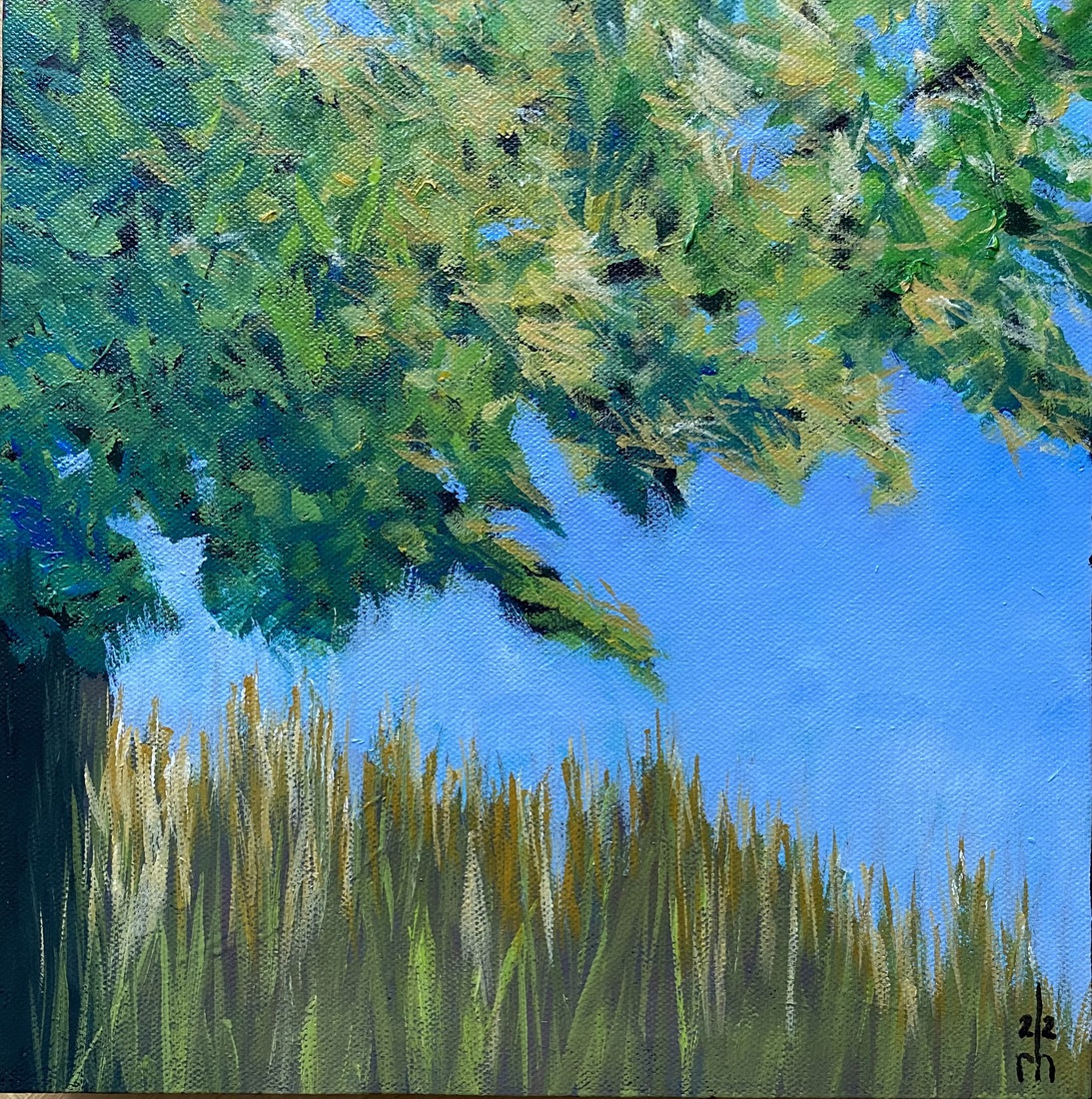 Looking up from the grass