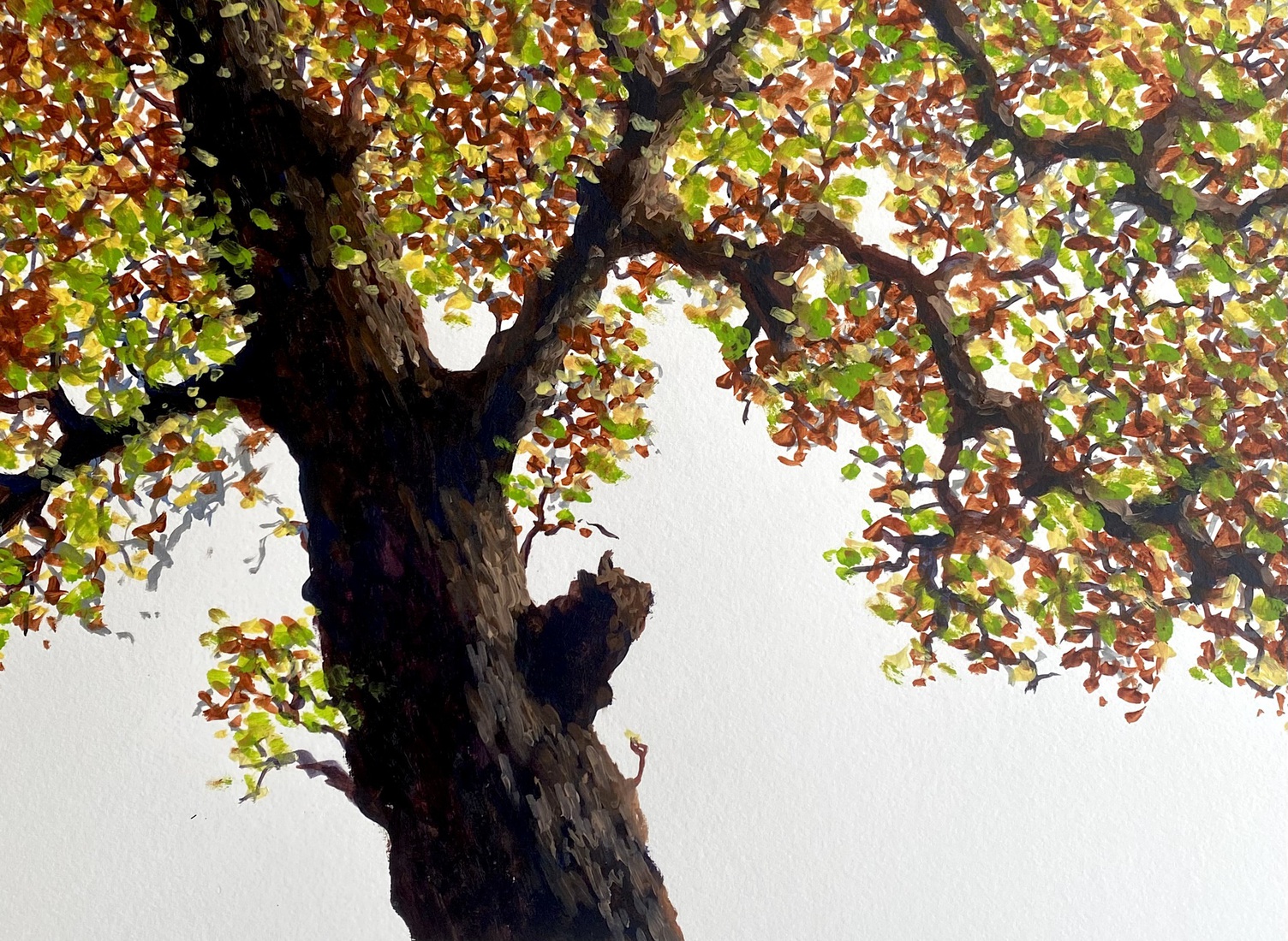 Green fighting brown