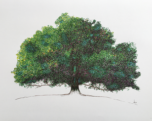 Stillevens van alles wat groeit