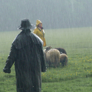 Foto's gemaakt tijdens regen, vaak van mensen.