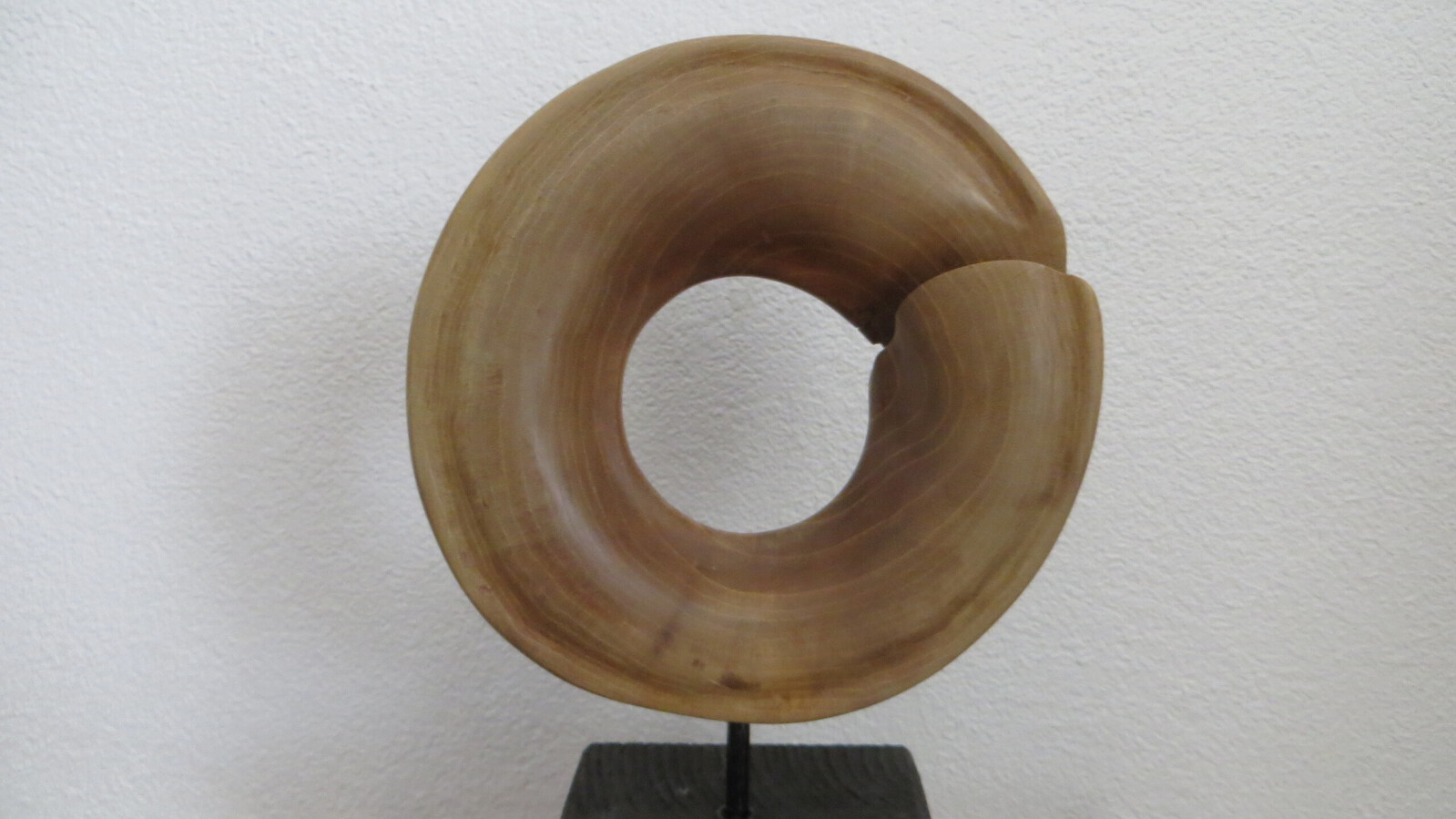 Onderbroken cirkel  (walnoot)