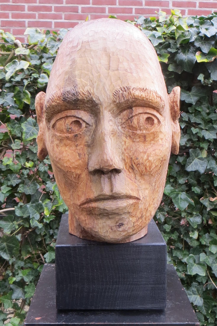 achterdocht (walnoot)