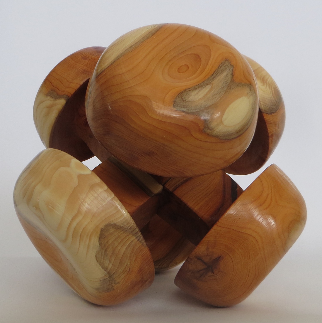 6 doppen (taxus)